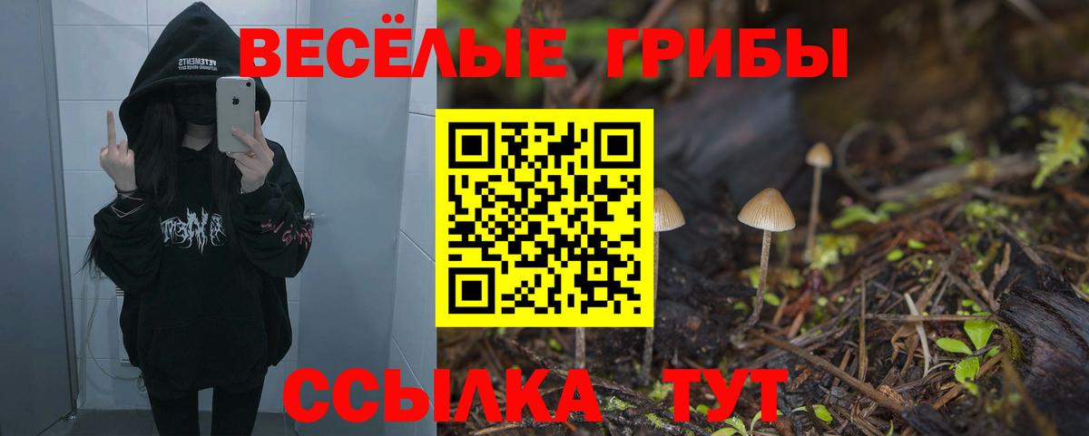 Галлюциногенные грибы Cubensis Черняховск